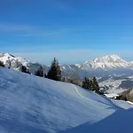 팜스테이 Kirchenbichlerhof