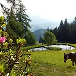 Kirchenbichlerhof
