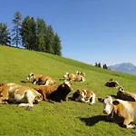 Kirchenbichlerhof * 프루게른