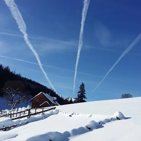 Kirchenbichlerhof Séjour à la ferme *