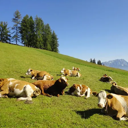 Kirchenbichlerhof * Pruggern