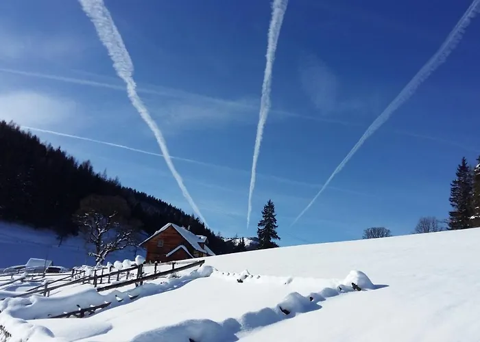 Kirchenbichlerhof Farm stay *