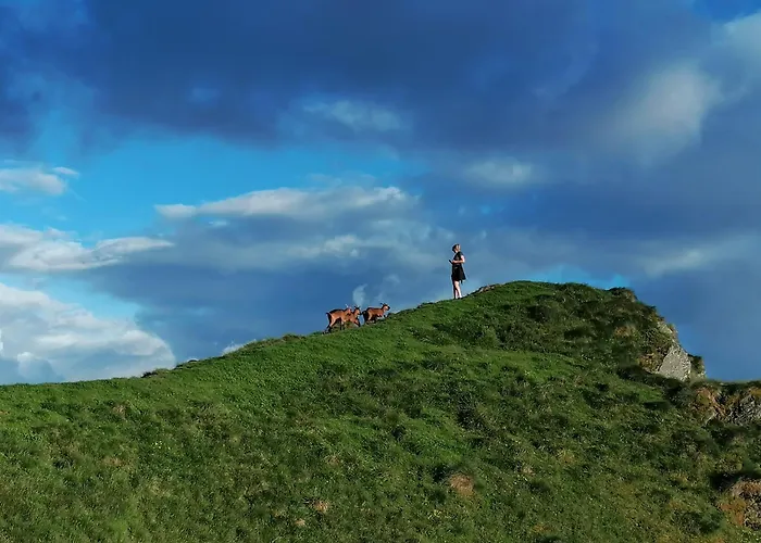 Kirchenbichlerhof Farm stay