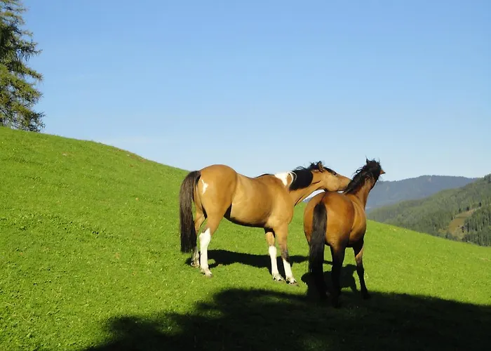 Kirchenbichlerhof Farma