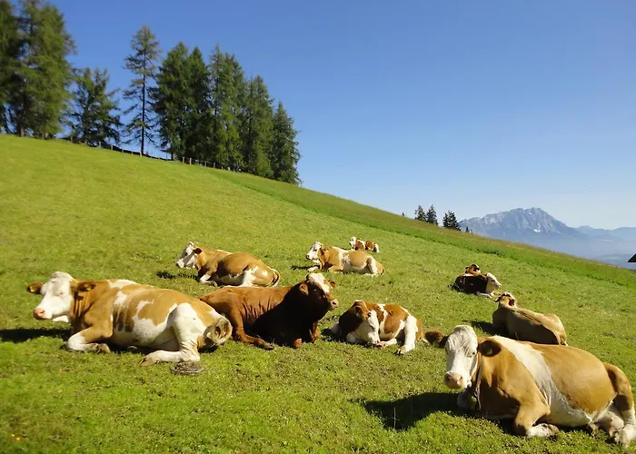 Kirchenbichlerhof * Pruggern